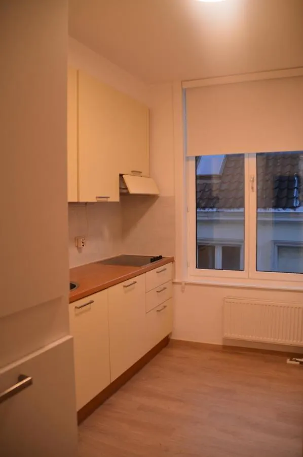 Evelyns Corner Duplex Apartment Ghent